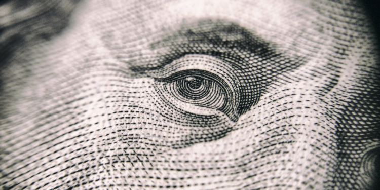 Detailed close-up of a banknote's eye, showcasing its intricate texture and design.