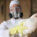Primo caso di influenza A(H9N2) in Lombardia