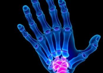 Rigenerazione, nei mammiferi il freno può essere l’ossigeno