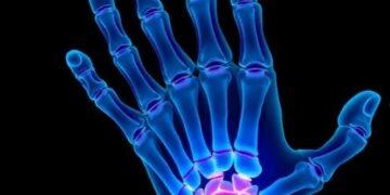 Rigenerazione, nei mammiferi il freno può essere l’ossigeno