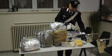 Cocaina nascosta sotto il letto e auto con doppifondo: tre arresti tra Treviso e Mantova