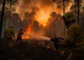 Aumento preoccupante degli incendi boschivi in Italia nel 2026