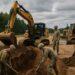 East Shield, truppe NATO fortificano il confine polacco