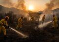 Incendi in Sardegna: 9.440 ettari devastati nel 2026