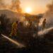 Incendi in Sardegna: 9.440 ettari devastati nel 2026