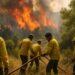 Incendio Alta Murgia, vigili del fuoco molisani in azione