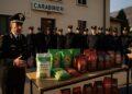Operazione internazionale contro il traffico di rifiuti: 12 arresti