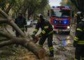 Marche, allerta arancione per temporali: disagi e feriti
