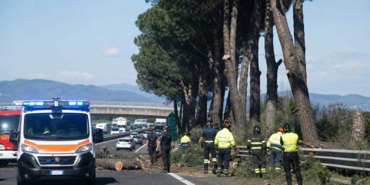 A11, grave incidente per un operaio durante la potatura