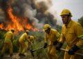 Incendio alla Mortola, chiuso il valico di Ponte San Luigi