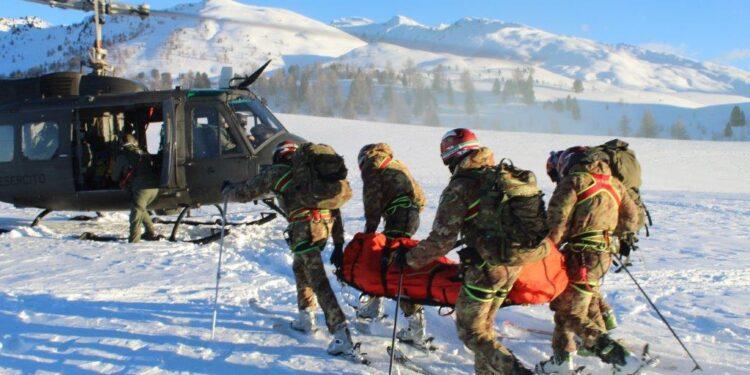 alpine esercito